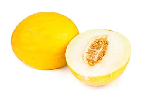 Canary Yellow Melon Seeds Non GMO Grams