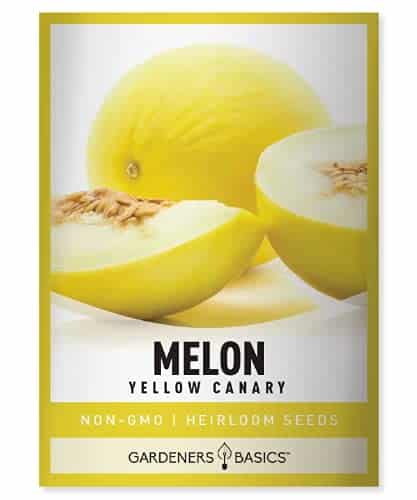 Yellow Canary Melon Seeds for Planting Heirloom, Non GMO Vegetable Variety Grams Seed Great for Summer Melon Gardens by Gardeners Basics